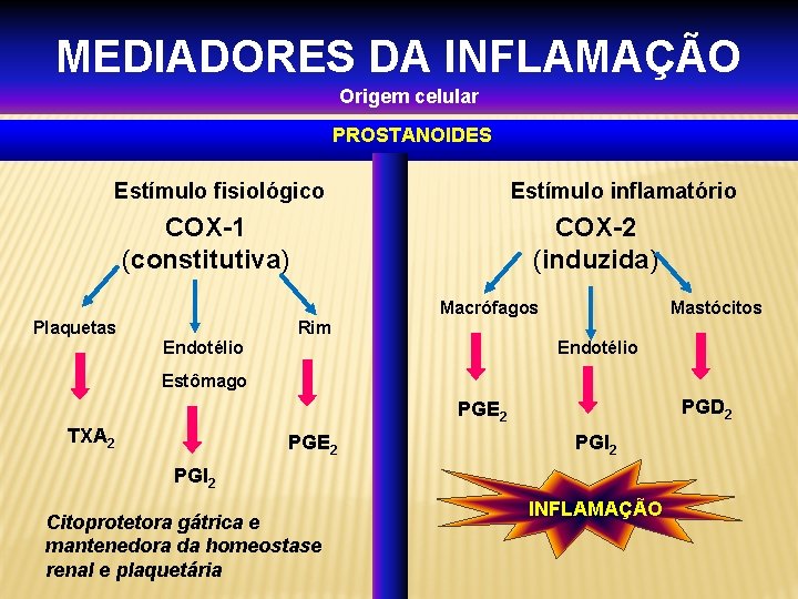 MEDIADORES DA INFLAMAÇÃO Origem celular PROSTANOIDES Estímulo fisiológico Estímulo inflamatório COX-1 (constitutiva) COX-2 (induzida)