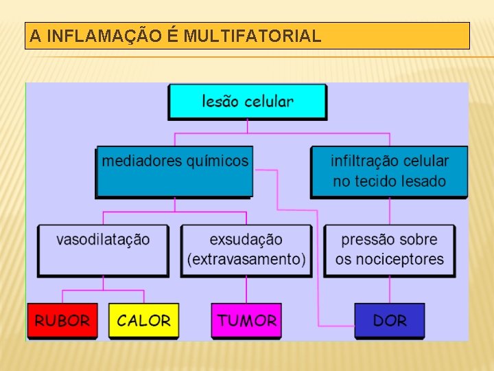 A INFLAMAÇÃO É MULTIFATORIAL 