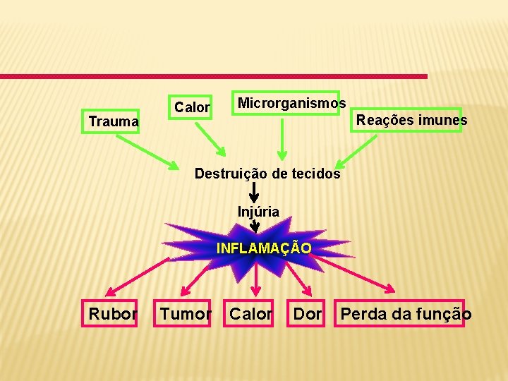 Trauma Calor Microrganismos Reações imunes Destruição de tecidos Injúria INFLAMAÇÃO Rubor Tumor Calor Dor