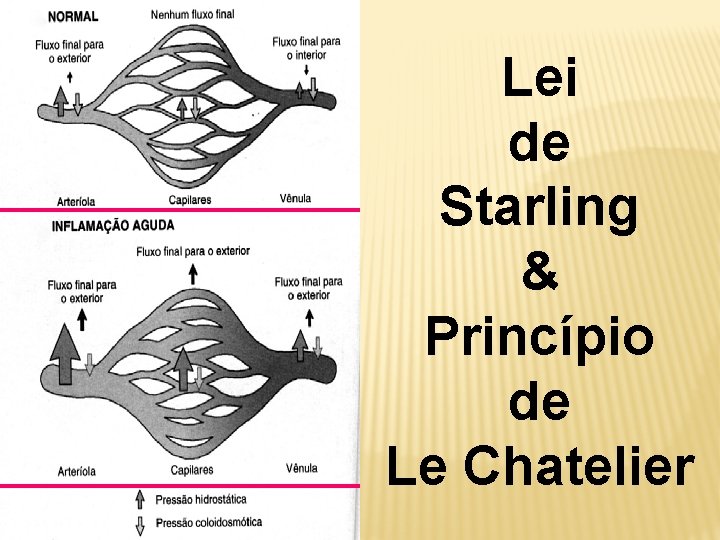 Lei de Starling & Princípio de Le Chatelier 