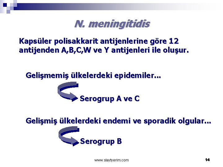 N. meningitidis Kapsüler polisakkarit antijenlerine göre 12 antijenden A, B, C, W ve Y
