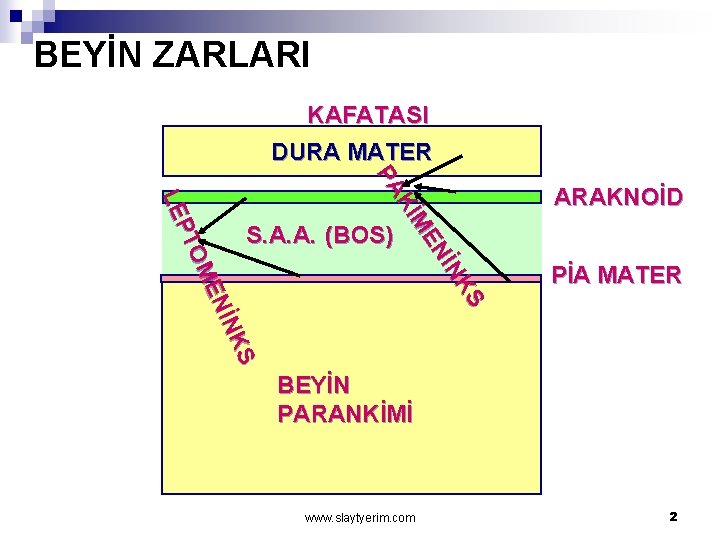 BEYİN ZARLARI KAFATASI DURA MATER S NK Nİ ME Kİ PA S İN K