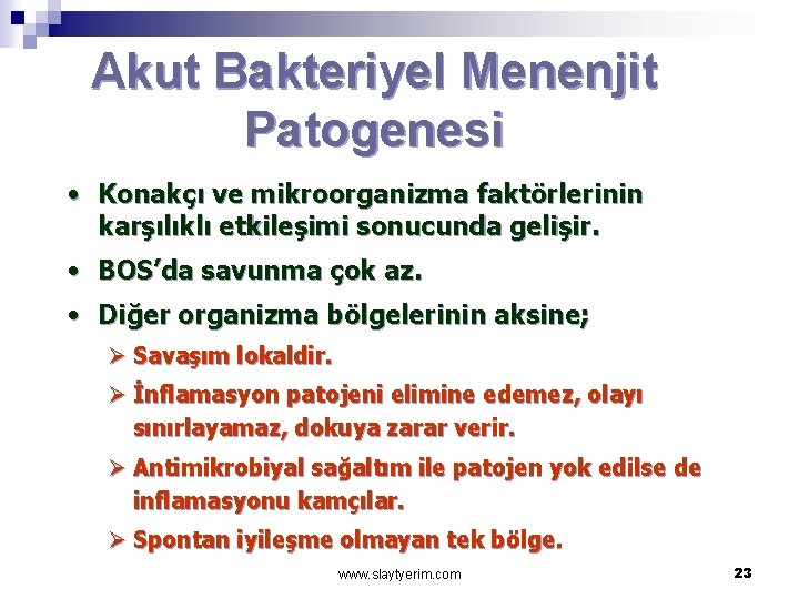 Akut Bakteriyel Menenjit Patogenesi • Konakçı ve mikroorganizma faktörlerinin karşılıklı etkileşimi sonucunda gelişir. •