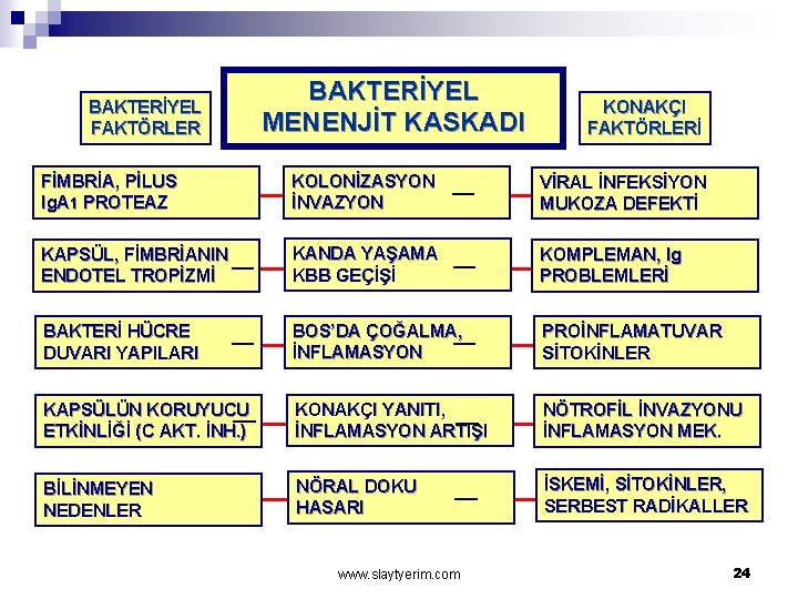 BAKTERİYEL FAKTÖRLER BAKTERİYEL MENENJİT KASKADI KONAKÇI FAKTÖRLERİ FİMBRİA, PİLUS Ig. A 1 PROTEAZ KOLONİZASYON