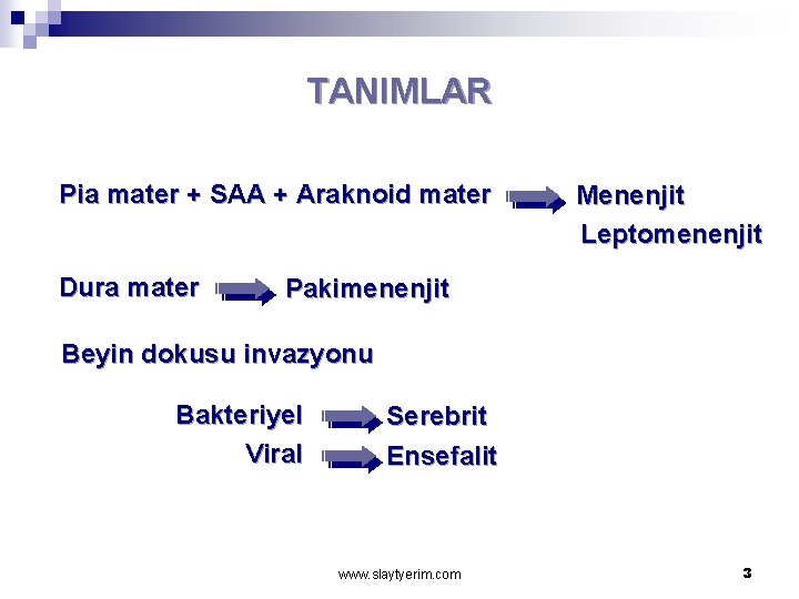 TANIMLAR Pia mater + SAA + Araknoid mater Dura mater Menenjit Leptomenenjit Pakimenenjit Beyin