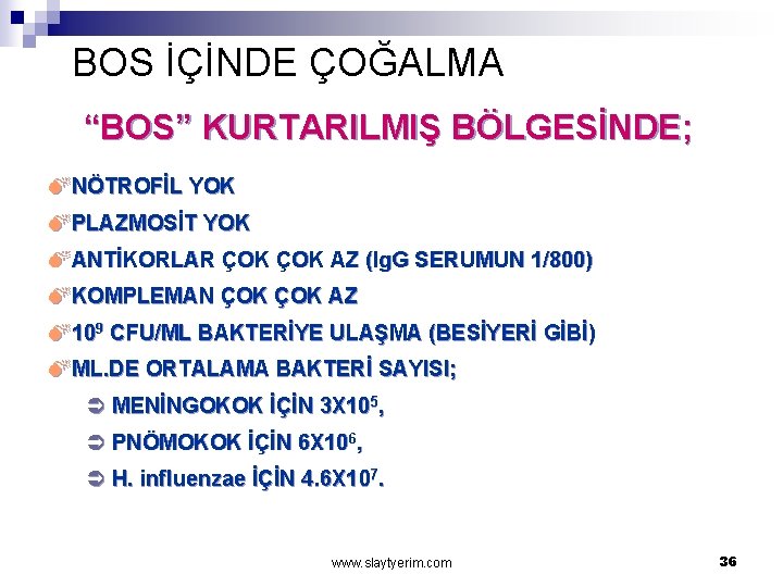 BOS İÇİNDE ÇOĞALMA “BOS” KURTARILMIŞ BÖLGESİNDE; MNÖTROFİL YOK MPLAZMOSİT YOK MANTİKORLAR ÇOK AZ (Ig.