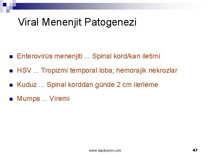 Viral Menenjit Patogenezi n Enterovirüs menenjiti. . . Spinal kord/kan iletimi n HSV. .