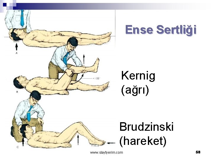 Ense Sertliği Kernig (ağrı) Brudzinski (hareket) www. slaytyerim. com 58 