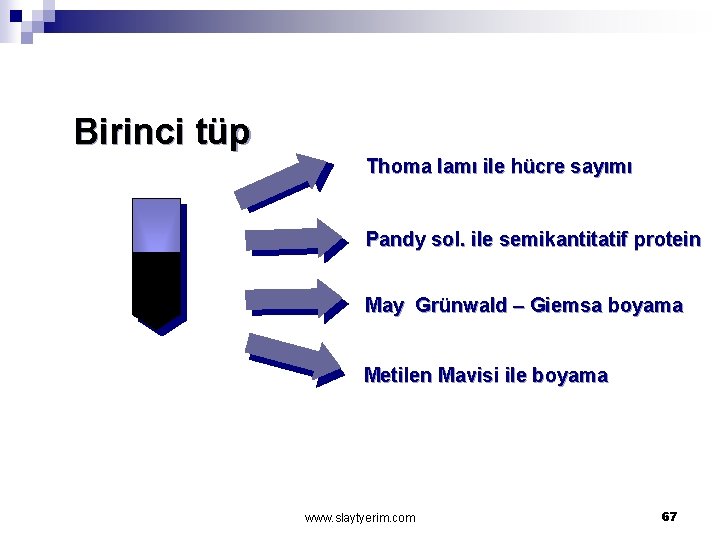 Birinci tüp Thoma lamı ile hücre sayımı Pandy sol. ile semikantitatif protein May Grünwald