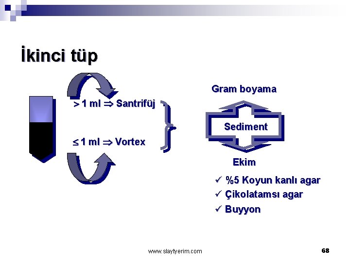 İkinci tüp Gram boyama 1 ml Santrifüj Sediment 1 ml Vortex Ekim ü %5