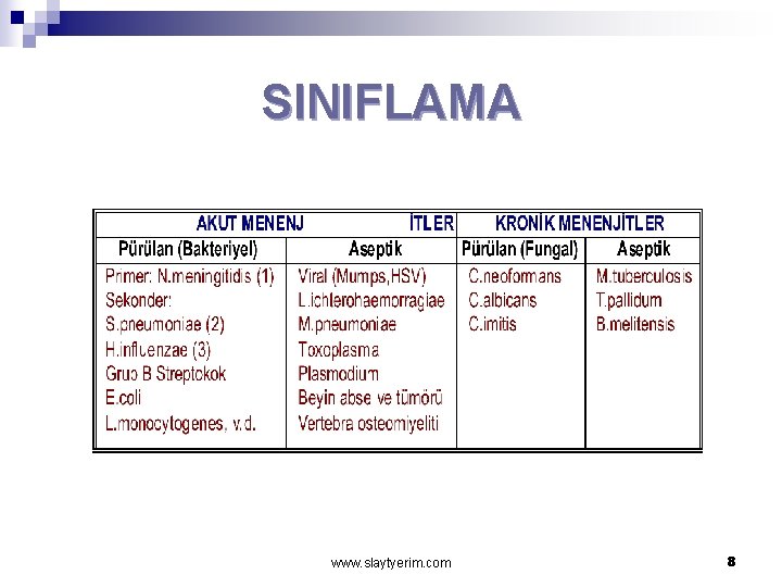 SINIFLAMA www. slaytyerim. com 8 