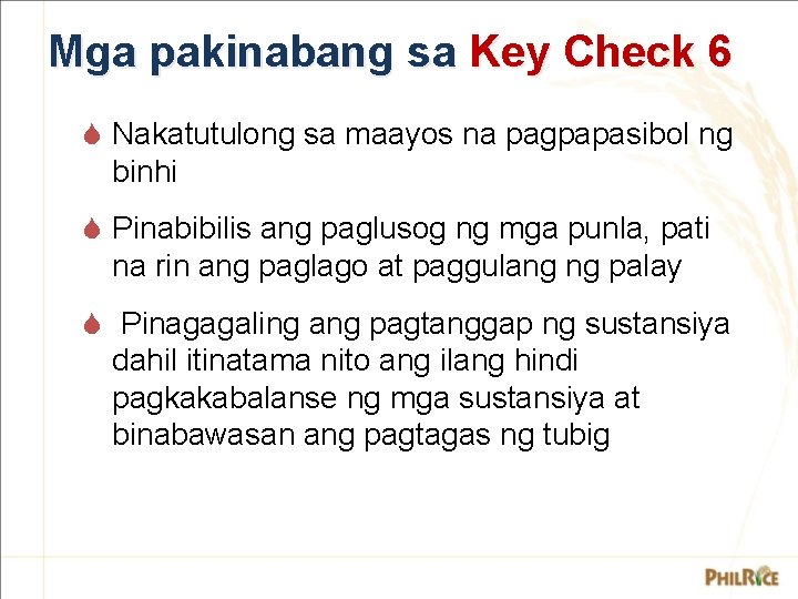 Mga pakinabang sa Key Check 6 S Nakatutulong sa maayos na pagpapasibol ng binhi