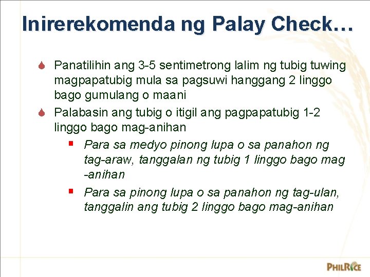 Inirerekomenda ng Palay Check… S Panatilihin ang 3 -5 sentimetrong lalim ng tubig tuwing