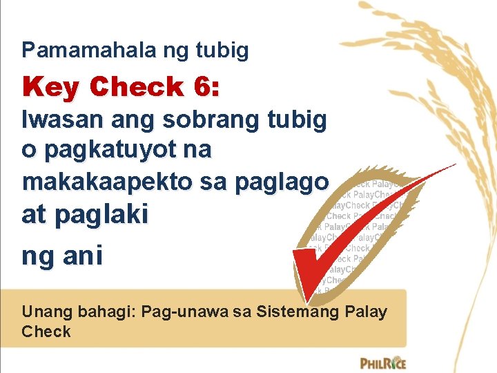 Pamamahala ng tubig Key Check 6: Iwasan ang sobrang tubig o pagkatuyot na makakaapekto
