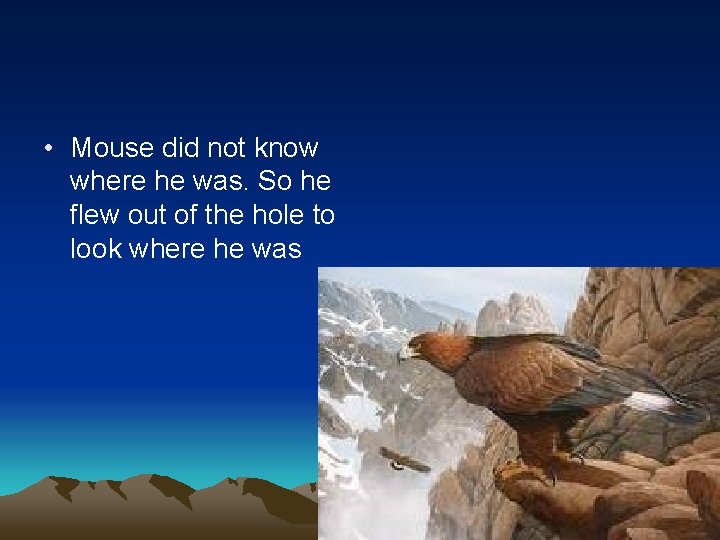  • Mouse did not know where he was. So he flew out of