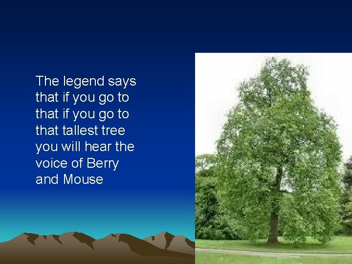 The legend says. that if you go to that tallest tree you will hear