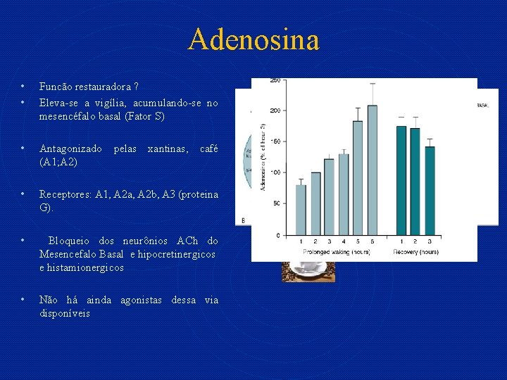 Adenosina • • Funcão restauradora ? Eleva-se a vigília, acumulando-se no mesencéfalo basal (Fator