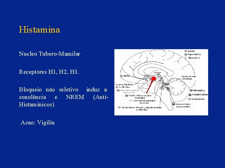 Histamina Nucleo Tubero-Mamilar Receptores H 1, H 2, H 3. Bloqueio não seletivo induz