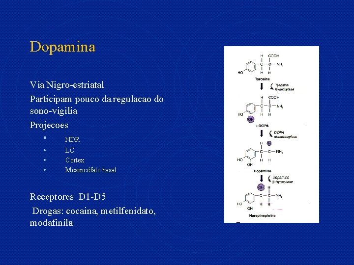 Dopamina Via Nigro-estriatal Participam pouco da regulacao do sono-vigilia Projecoes • NDR • •