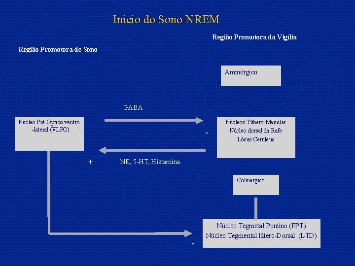 Inicio do Sono NREM Região Promotora da Vigília Região Promotora de Sono Aminérgico GABA