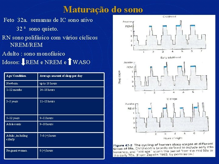 Maturação do sono Feto 32 a. semanas de IC sono ativo 32 ª sono