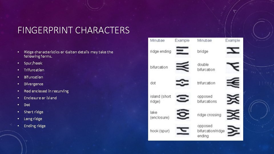 FINGERPRINT CHARACTERS • Ridge characteristics or Galton details may take the following forms. •