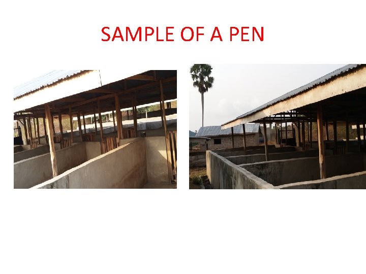 SAMPLE OF A PEN 