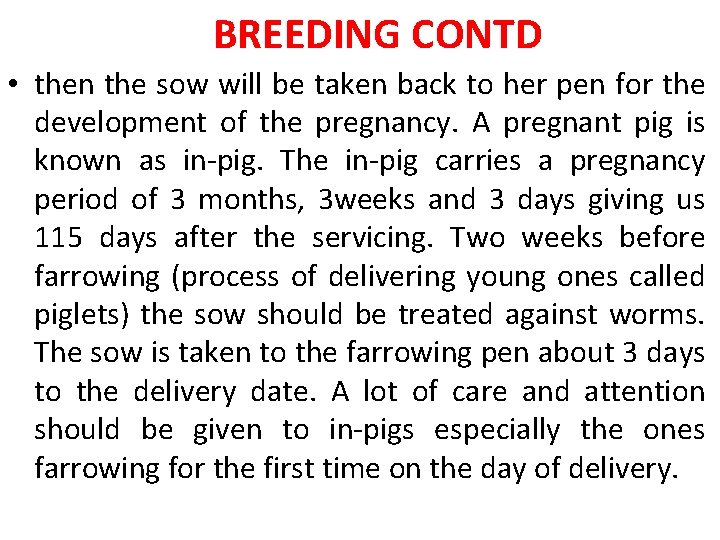 BREEDING CONTD • then the sow will be taken back to her pen for