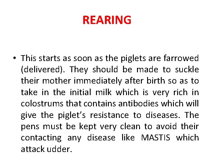 REARING • This starts as soon as the piglets are farrowed (delivered). They should