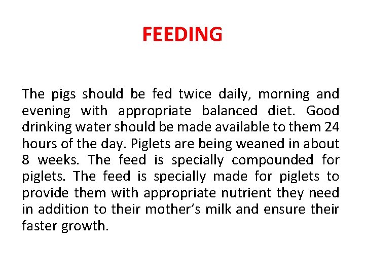 FEEDING The pigs should be fed twice daily, morning and evening with appropriate balanced