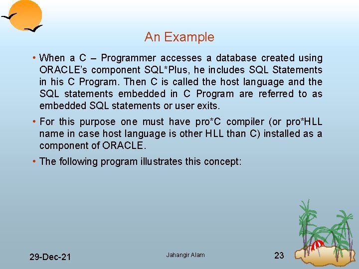 An Example • When a C – Programmer accesses a database created using ORACLE’s