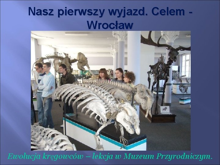 Nasz pierwszy wyjazd. Celem Wrocław Ewolucja kręgowców – lekcja w Muzeum Przyrodniczym. 