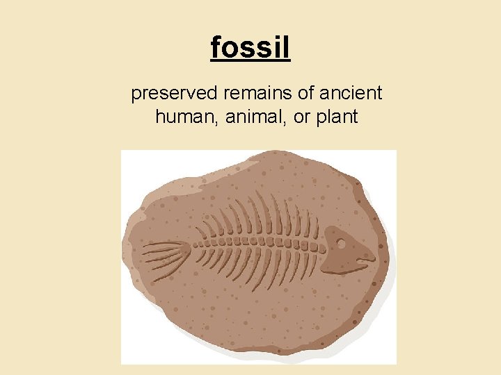 fossil preserved remains of ancient human, animal, or plant 