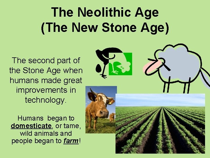 The Neolithic Age (The New Stone Age) The second part of the Stone Age