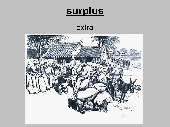 surplus extra 