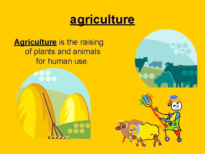 agriculture Agriculture is the raising of plants and animals for human use. 
