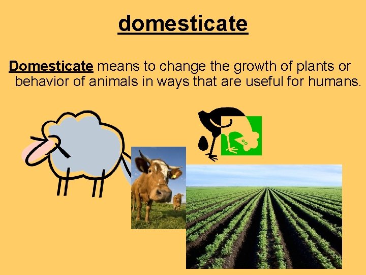 domesticate Domesticate means to change the growth of plants or behavior of animals in