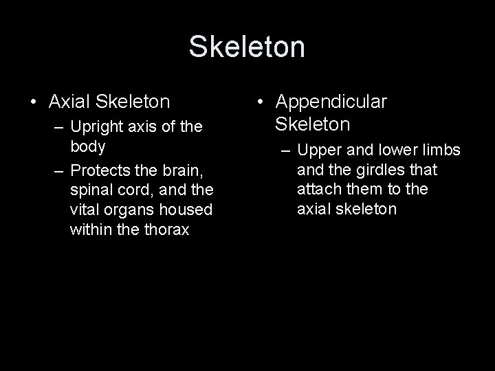 Skeleton • Axial Skeleton – Upright axis of the body – Protects the brain,