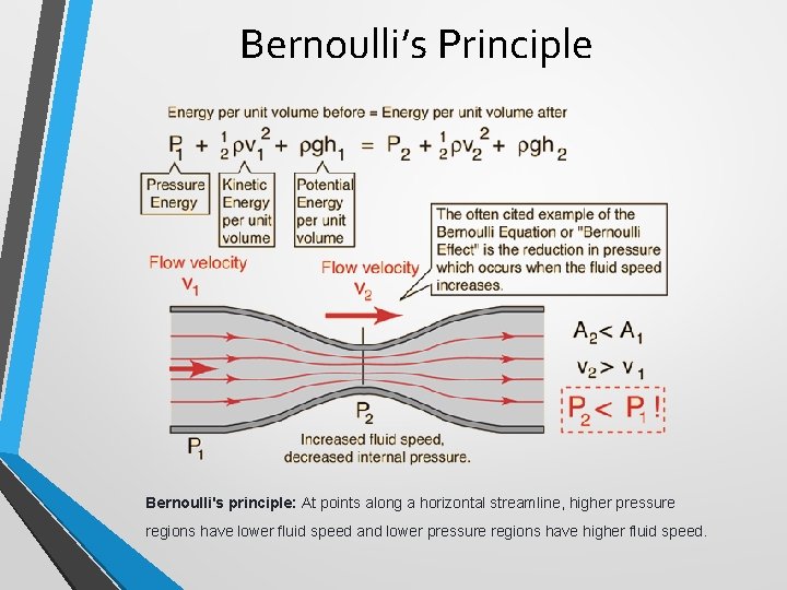 Bernoulli’s Principle Bernoulli's principle: At points along a horizontal streamline, higher pressure regions have Bernoulli’s Principle Bernoulli's principle: At points along a horizontal streamline, higher pressure regions have
