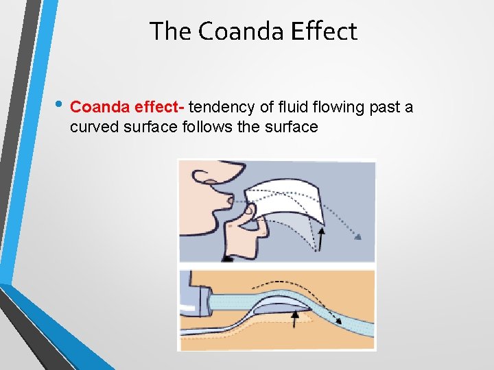 The Coanda Effect • Coanda effect- tendency of fluid flowing past a curved surface The Coanda Effect • Coanda effect- tendency of fluid flowing past a curved surface