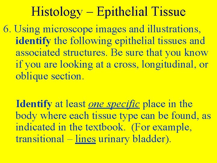 Histology – Epithelial Tissue 6. Using microscope images and illustrations, identify the following epithelial