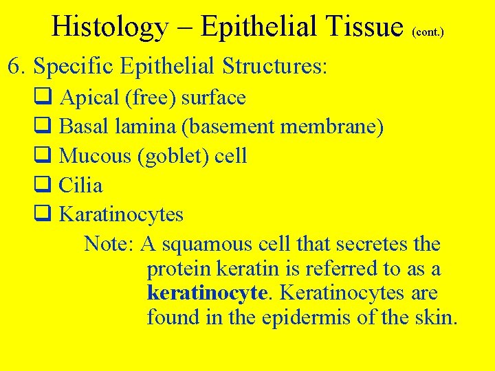 Histology – Epithelial Tissue (cont. ) 6. Specific Epithelial Structures: q Apical (free) surface