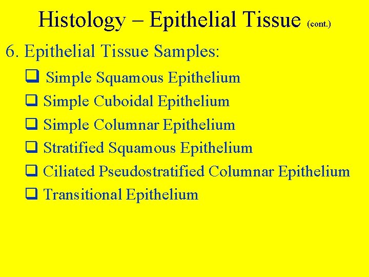Histology – Epithelial Tissue (cont. ) 6. Epithelial Tissue Samples: q Simple Squamous Epithelium