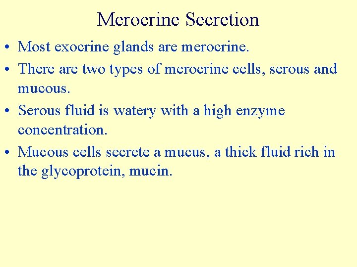 Merocrine Secretion • Most exocrine glands are merocrine. • There are two types of