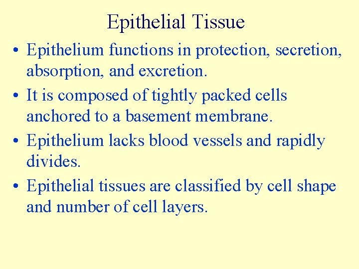 Epithelial Tissue • Epithelium functions in protection, secretion, absorption, and excretion. • It is