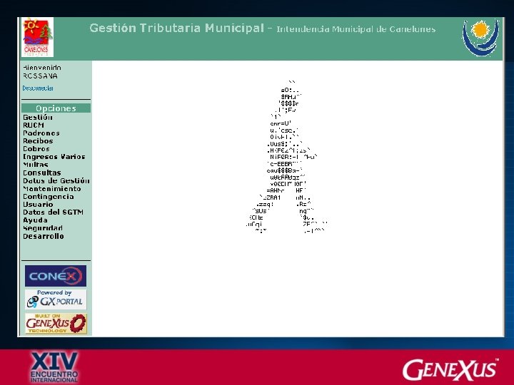  • GESTIÓN TRIBUTARIA MUNICIPAL • ROLES y RESPONSABILIDADES • ASEGURAMIENTO DE LA GESTIÓN