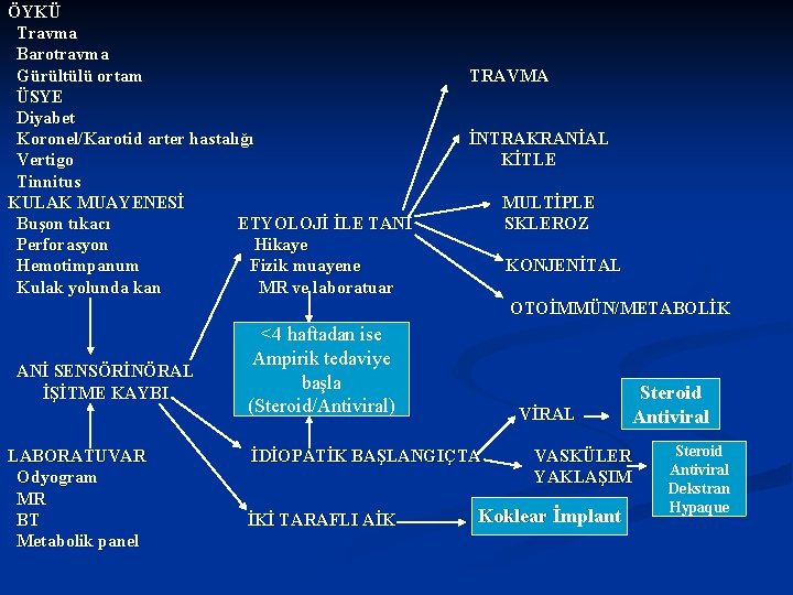 ÖYKÜ Travma Barotravma Gürültülü ortam ÜSYE Diyabet Koronel/Karotid arter hastalığı Vertigo Tinnitus KULAK MUAYENESİ