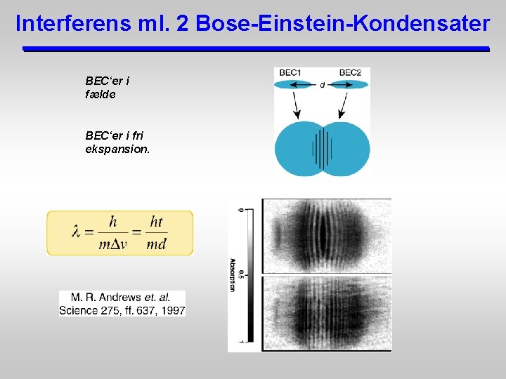 Interferens ml. 2 Bose-Einstein-Kondensater BEC‘er i fælde BEC‘er i fri ekspansion. 