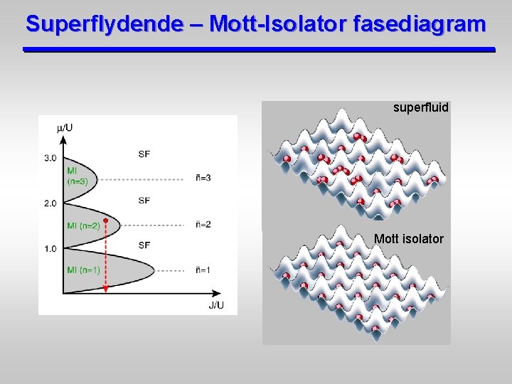 Superflydende – Mott-Isolator fasediagram superfluid Mott isolator 