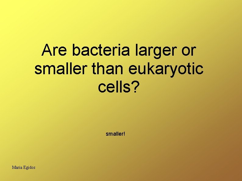 Are bacteria larger or smaller than eukaryotic cells? smaller! Maria Egidos 